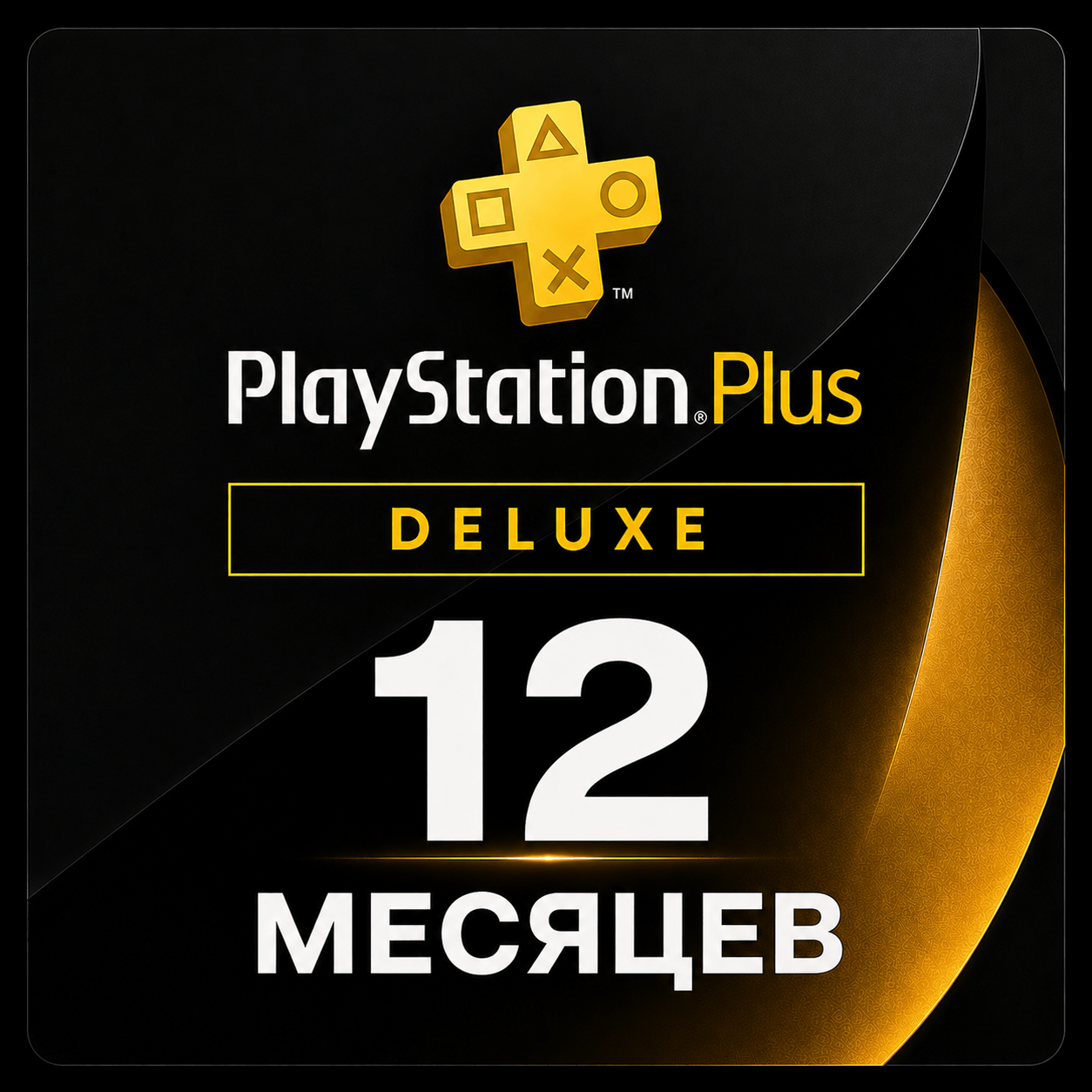 PS Plus Deluxe 12m